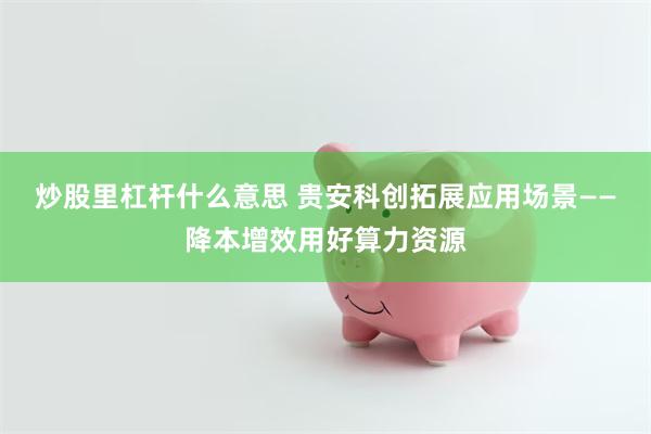 炒股里杠杆什么意思 贵安科创拓展应用场景——降本增效用好算力资源