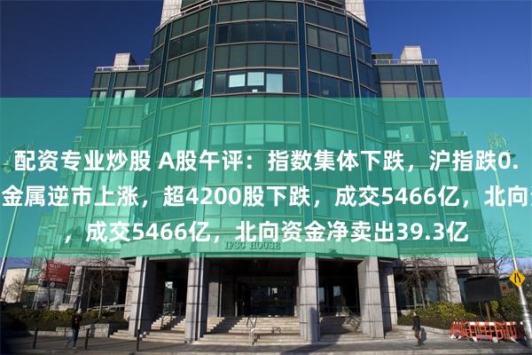 配资专业炒股 A股午评：指数集体下跌，沪指跌0.41%！煤炭电力贵金属逆市上涨，超4200股下跌，成交5466亿，北向资金净卖出39.3亿