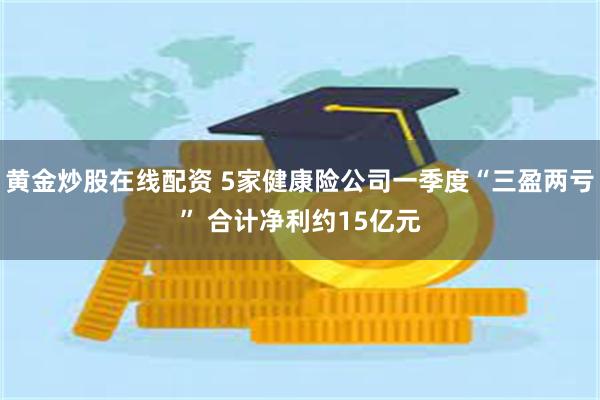 黄金炒股在线配资 5家健康险公司一季度“三盈两亏” 合计净利约15亿元