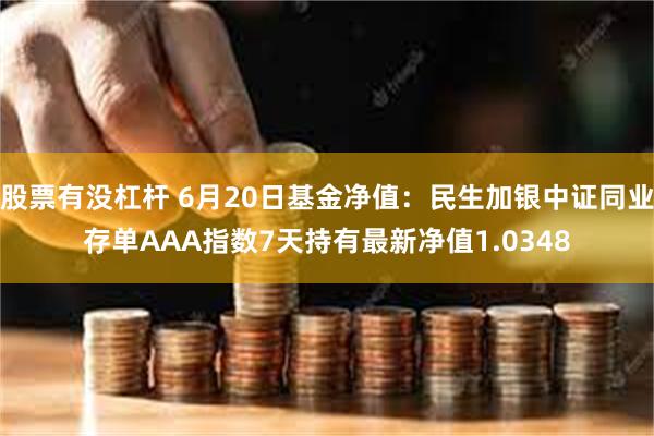 股票有没杠杆 6月20日基金净值：民生加银中证同业存单AAA指数7天持有最新净值1.0348