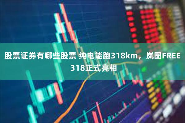 股票证券有哪些股票 纯电能跑318km，岚图FREE 318正式亮相
