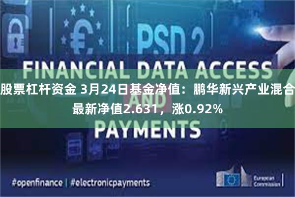 股票杠杆资金 3月24日基金净值：鹏华新兴产业混合最新净值2.631，涨0.92%