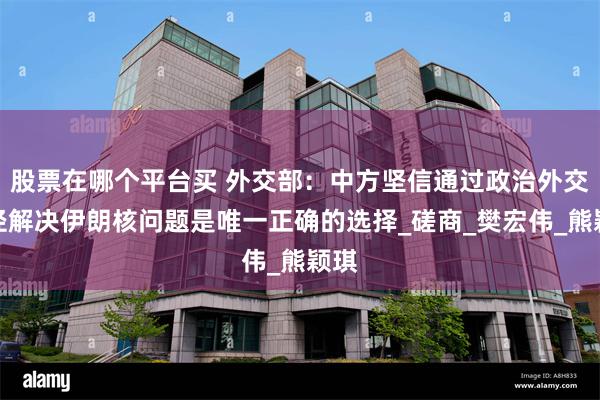 股票在哪个平台买 外交部：中方坚信通过政治外交途径解决伊朗核问题是唯一正确的选择_磋商_樊宏伟_熊颖琪