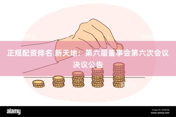 正规配资排名 新天地：第六届董事会第六次会议决议公告