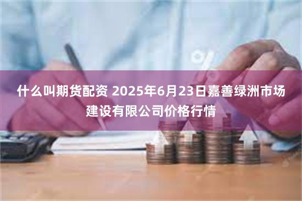 什么叫期货配资 2025年6月23日嘉善绿洲市场建设有限公司价格行情