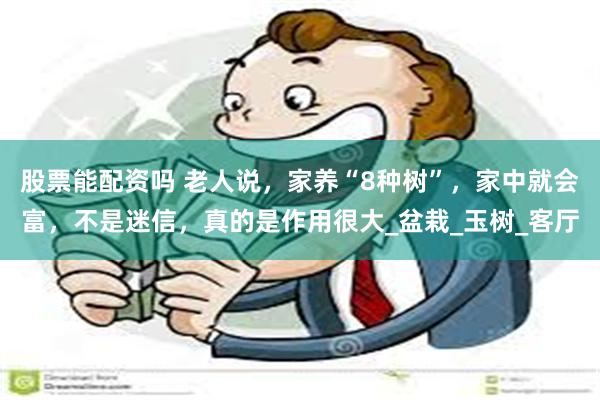 股票能配资吗 老人说，家养“8种树”，家中就会富，不是迷信，真的是作用很大_盆栽_玉树_客厅