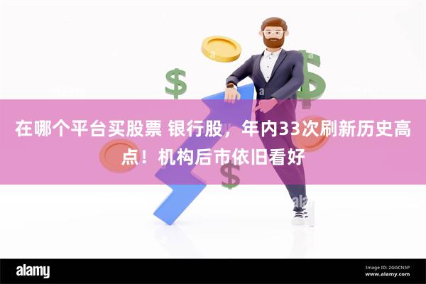 在哪个平台买股票 银行股，年内33次刷新历史高点！机构后市依旧看好