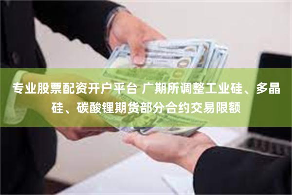 专业股票配资开户平台 广期所调整工业硅、多晶硅、碳酸锂期货部分合约交易限额