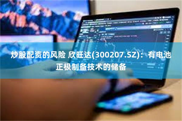 炒股配资的风险 欣旺达(300207.SZ)：有电池正极制备技术的储备